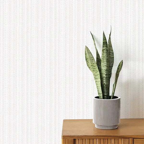 کاغذ دیواری ساده