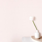 کاغذ دیواری ساده