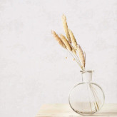 کاغذ دیواری سفید