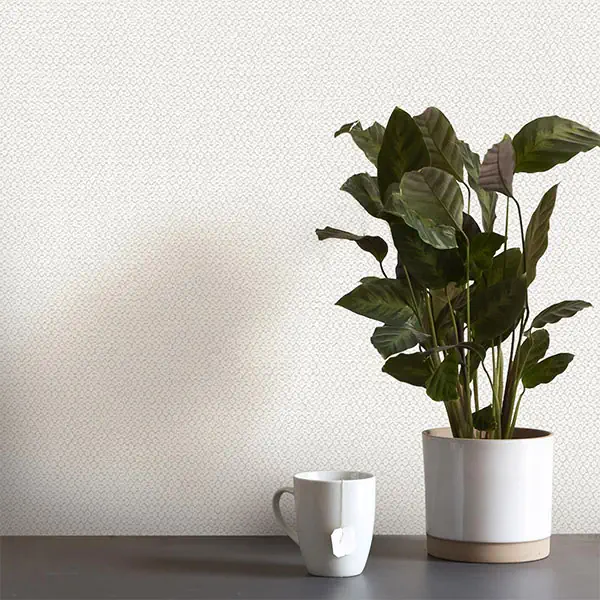 کاغذ دیواری ساده