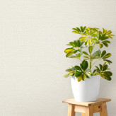 کاغذ دیواری ساده