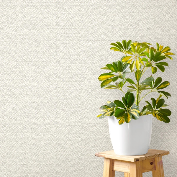 کاغذ دیواری ساده