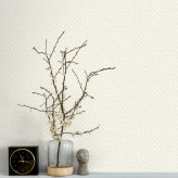 کاغذ دیواری ساده